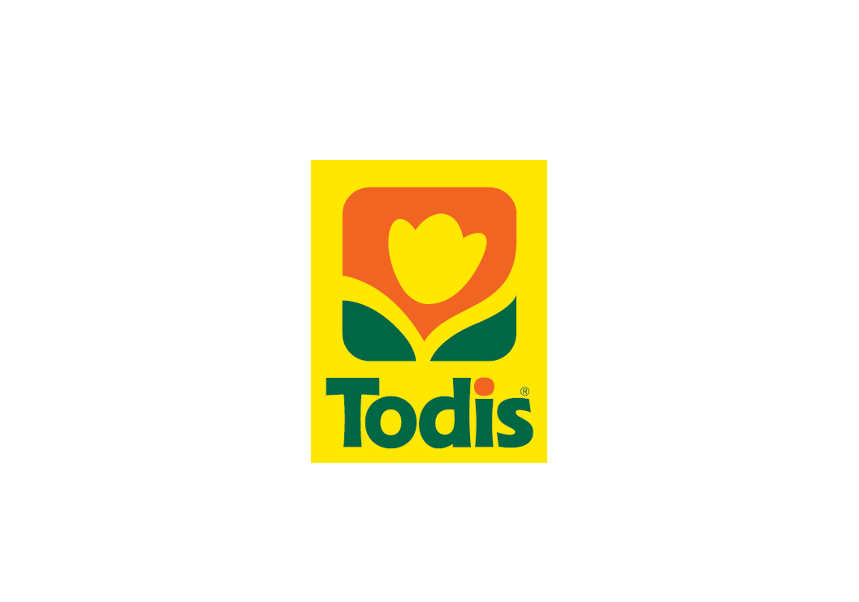 Todis-logo.png